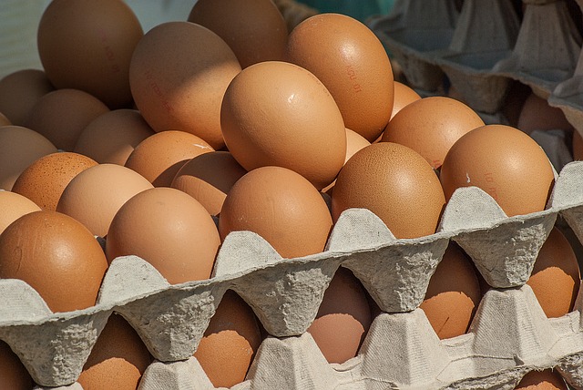 eieren-fipronil eieren-fipronil