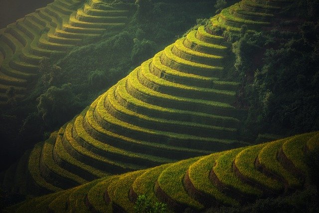 vrijhandelsovereenkomst-tussen-vietnam-en-eu vrijhandelsovereenkomst-tussen-vietnam-en-eu