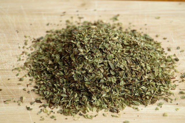 oregano oregano