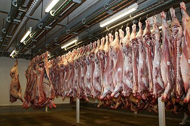images/bulletin/2083/hygiene-slachthuizen.jpg
